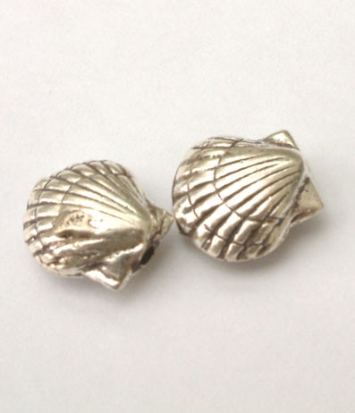 Seashell Bead